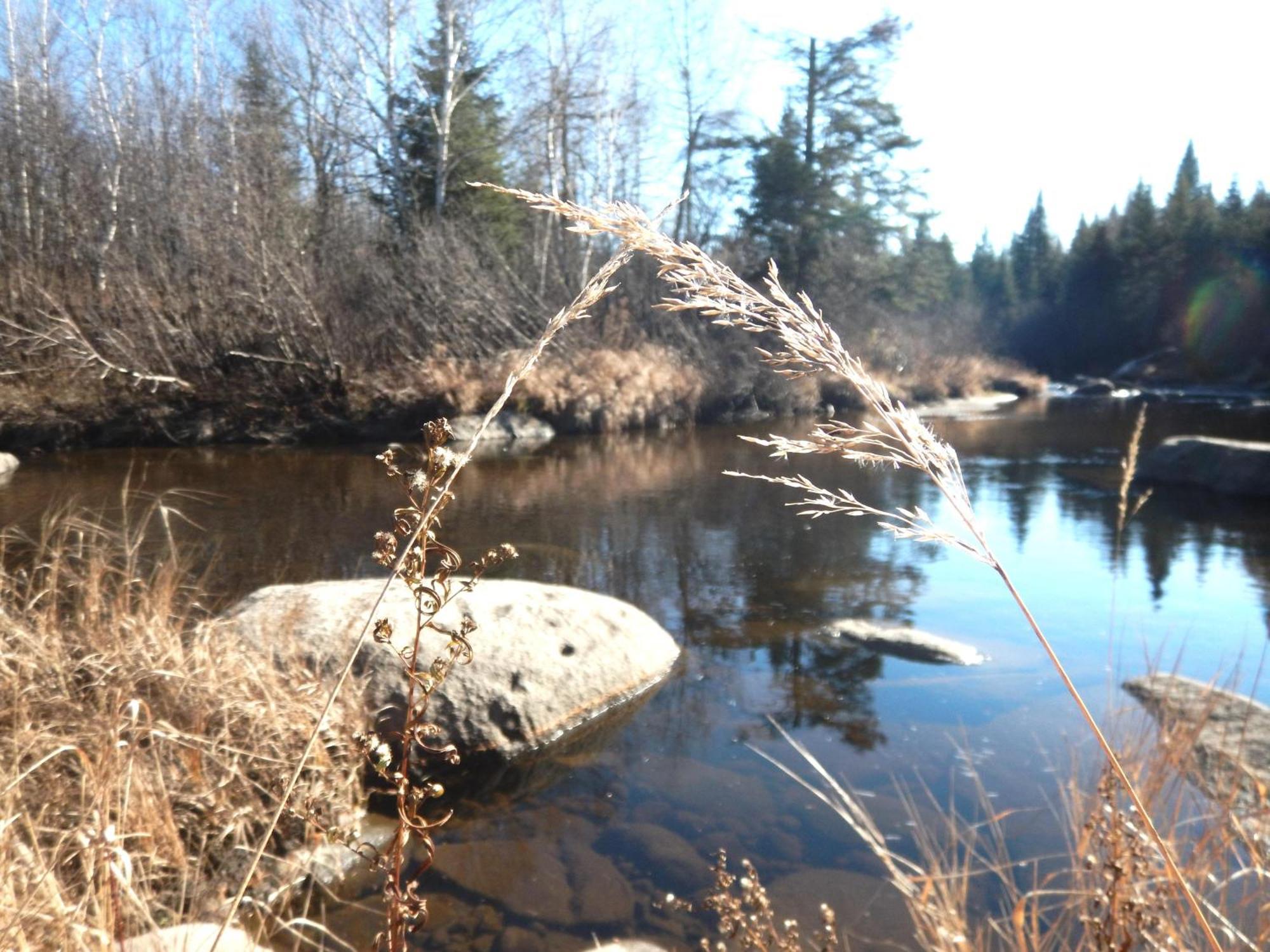Вилла Aux Tipis De La Riviere Sauvage Saint Romain Экстерьер фото