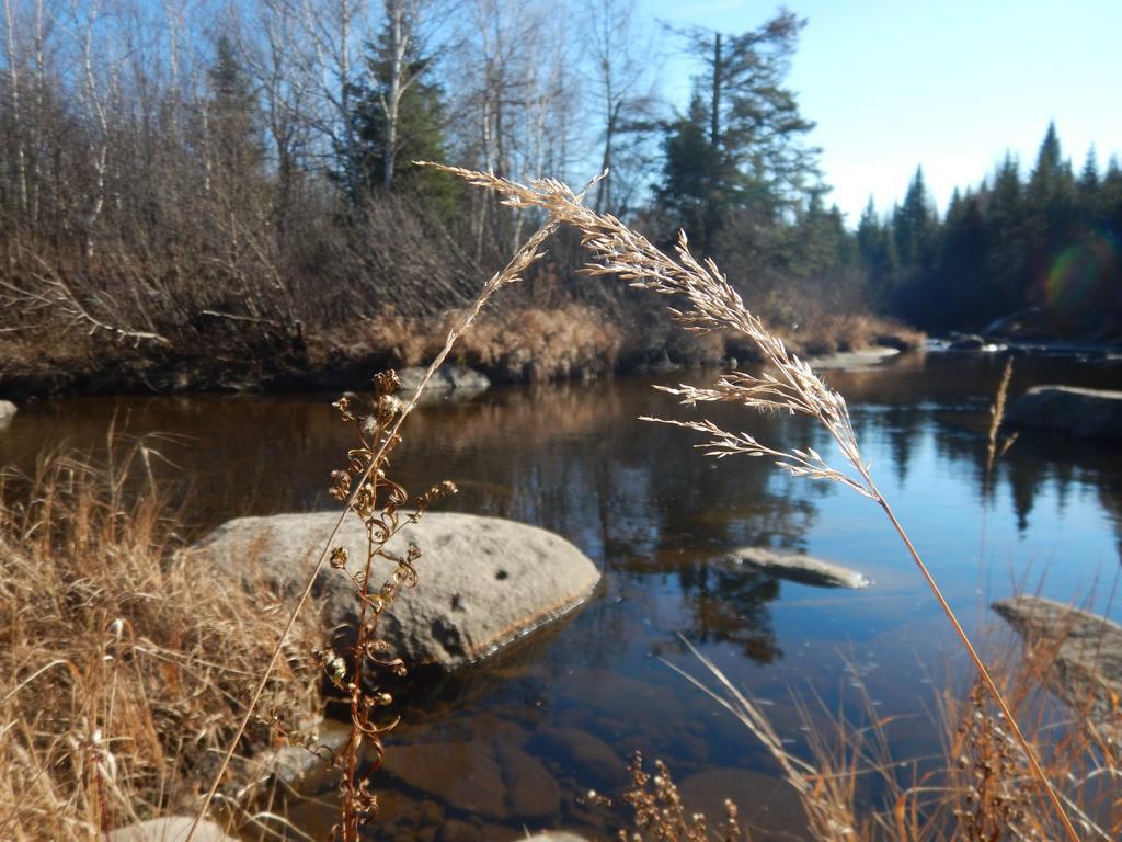 Вилла Aux Tipis De La Riviere Sauvage Saint Romain Экстерьер фото