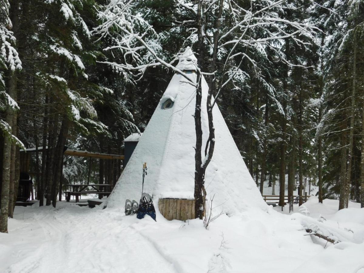 Вилла Aux Tipis De La Riviere Sauvage Saint Romain Экстерьер фото